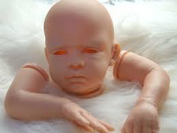 Sold Out Reborn kit Aaron by Lucie Hoffmann