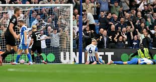 Brighton 2-2 Tottenham: Van Hecke own goal completes Spurs comebck