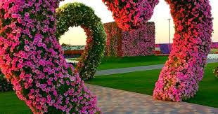 Miracle Flower Garden Dubai Hearts Dubai Miracle Garden Miracle Garden Flower Garden Beautiful Gardens