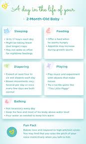 In fact, too much tub time can lead to dry baby skin ; 2 Month Old Baby Milestones Sleep Feeding Schedule Pampers