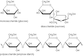Monosaccharides Chemical Structure Biochemistry Macromolecules