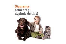 Rostul ei este de a promova drepturile şi bunăstarea tuturor animalelor, fie ele cu stăpân sau fără, sălbatice sau domestice. 4 Octombrie Ziua Mondiala A Animalelor