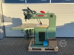 Image result for Frommia