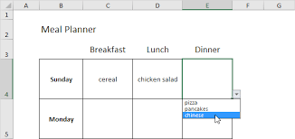 Meal Plan Template Excel Margarethaydon Com