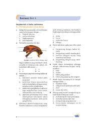 Maybe you would like to learn more about one of these? Contoh Soal Hots Ipa Sd Kelas 6 Contoh Soal Terbaru