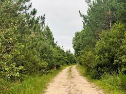 Lewis North Tract, Farm for Sale in Georgia, #326716