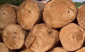 We Are Direct Supplier Of African Hardwoods We Stock A Variety Of Softwoods And Hardwoods Such As Cypress Pod Mahogany K Timber Sales Buy Wood Mahogany Wood
