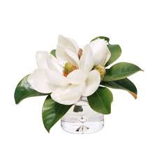Epitomise the beauty of nature minus the hard work with artificial flowers & plants from the interiors online collection. Faux Magnolias In Glass Vase Artificial Flower Arrangement Williams Sonoma