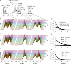 What does 2dg6p stand for? 13 C 6 D 8 2 Deoxyglucose Phosphorylation By Hexokinase Shows Selectivity For The B Anomer Scientific Reports