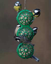Boules De Graisse Pour Oiseaux Les Dangers Hello Birdy