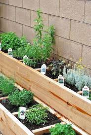 62 Favourite Vegetable Hydroponic Garden Ideas And Decoration The Expert Beautiful Ideas Herb Garden Design Outdoor Herb Garden Small Backyard Landscaping