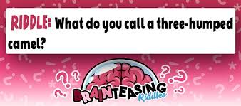 We knows that camels are used by people in arabic country as cargo checks and riding animals, as well as for their wool, skin and meat. What Do You Call A Three Humped Camel Brain Teasing Riddles