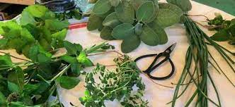You can top with a plastic bag to maintin more mosture. Easy Ways To Preserve Fresh Herbs From Your Garden Pinecone Cottage Retreat