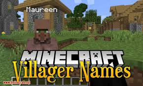 The converter block converts villagers to zombie villagers and cures them afterwards, enabling the player … Descargar Villager Names Mod 1 14 4 1 12 2 Para Minecraft