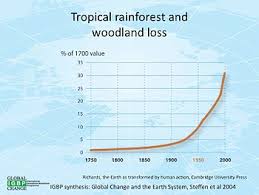 We did not find results for: Deforestation Wikipedia