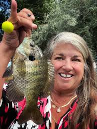 Good Morning, Here is the link to the latest public event in case you were  unable to attend in person. The agenda and timestamps are linked in the  description. [https://youtu.be/gqVtplF6zYY](https://youtu.be/gqVtplF6zYY)