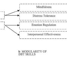 If we say 'he paid through the nose' we mean that he paid a high price for something. Pdf The Course And Evolution Of Dialectical Behavior Therapy