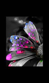Check spelling or type a new query. 48 3d Touch Wallpapers On Wallpapersafari