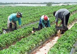 By fonduri europene (0) comments. Romania Pe Locul 3 In Ue La AbsorbÅ£ia De Fonduri Europene Pentru Dezvoltare RuralÄ Ziarul Unirea