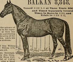 File:Breeder and sportsman (1891) (19788764723).jpg