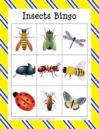 As we found at the top of this page, over one million insect species. Insects Bingo Insects Preschool Insects Insects For Kids