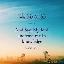 Quran wisdom islam allah guidance grave day of judgement daily wisdom quran islamic quotes. Professional Counselling Services Are Available For Everyone Quran Quotes Love Quran Quotes Verses Quran Quotes