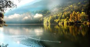 Wallpapers, hd wallpapers, widescreen wallpapers. 16 Nature 1920x1080 Full Hd Wallpaper For Pc Hd Nature Wallpapers High Definit 1920x1 High