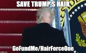 Meme generator to caption meme images or upload your pictures to make custom memes. Bald Trump Memes Gifs Imgflip