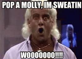 22 Meme Internet Pop A Molly Im Sweatin Woooo