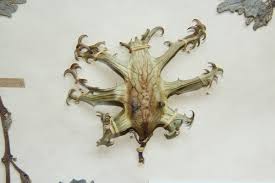 Image result for Harpagophytum procumbens