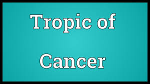 They are incredibly sensitive, meaning like the crab, they can have developed some very thick. Tropic Of Cancer Meaning Youtube