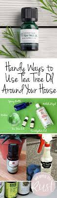 Handy Ways To Use Tea Tree Oil Around Your House Wrapped In Rust Tea Tree Oil Tea Tree Tree Oil