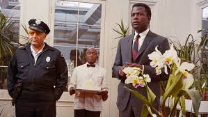 In the Heat of the Night | Hammer Museum