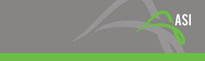 Anyone can just press the buy or sell button on their trading platform. Asi Advanced Strategies Inc Linkedin