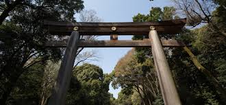 Image result for Torii