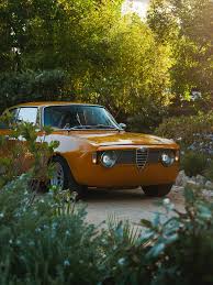 Image result for Ocra Scuro 1970 Alfa-Romeo