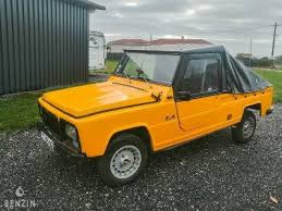 Image result for Jaune 1987 Renault