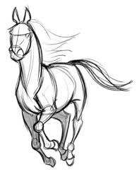 Image Result For Galloping Horses Drawings Easy Horse Drawings Animal Drawings Animal Sketches
