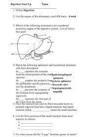 Solved Digestion Start Up Name 1 Define Digestion 2 List Chegg Com