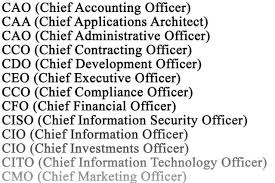 Power And Influence C Level Jobs Executive Jobs Job Title List Of Jobs