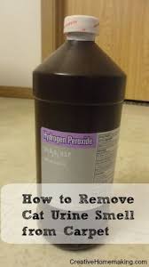 How To Remove Cat Urine Smell From Carpet For Good Creative Homemaking Cat Urine Smells Cat Urine Remover Remove Cat Urine Smell
