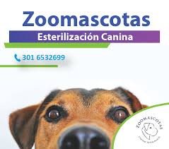 Centro Veterinario ZooMascotas Yopal