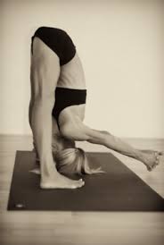 A Beginner S Guide To Getting Fit And Healthy Yoga Inspiration Yoga Fitness How To Do Yoga