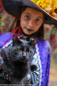 Hello! I met Lucipurr when my witches and I visited in September. I wanted  to introduce the “infamous” Grimm of Into The Woods Farm
