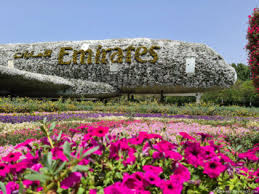 Dubai miracle garden has more than 45 million flowers. Dubai Miracle Garden The Largest Flower Garden In The World