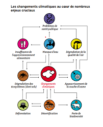 Il est dû aux gaz à effet de serre (ges) contenus dans l'atmosphère, à savoir principalement la vapeur d'eau (qui contribue le plus à l'effet de serre). Pour Un Climat De Solidarite