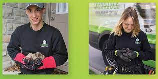 Average skedaddle humane wildlife control hourly pay ranges from approximately $15.65 per hour for customer service representative to $17.72 per hour for repair technician. Skedaddle Franchise 2021 Cost Fees Facts Franchiseopportunities Com