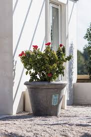 C'était bien avant que notre mythique chat potté ne croise la route de shrek… le légendaire félin, et non moins redoutable amant, s'était alors embarqué. Pot De Jardin Rond En Ciment Gris Modele Toscane Pot Jardin Decoration Jardin Decoration Beton