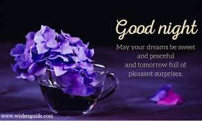 Good Night Messages For Friends Good Night Messages Night Messages Good Night Flowers