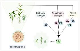 And evermotion fruits.hope u like it. Https Www Mdpi Com 2076 0817 10 5 570 Pdf